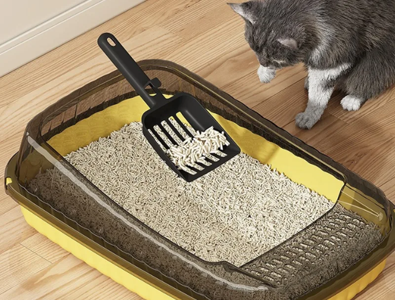 Can the GRS PP Cat Litter Box Solve the Biggest Frustrations of Cat Owners?